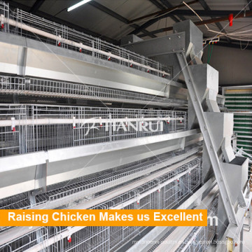 Equipo de aves de corral A Tipo de batería Jaulas de capa de pollo